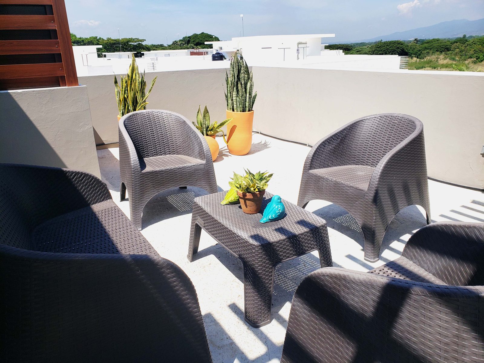 Terraza