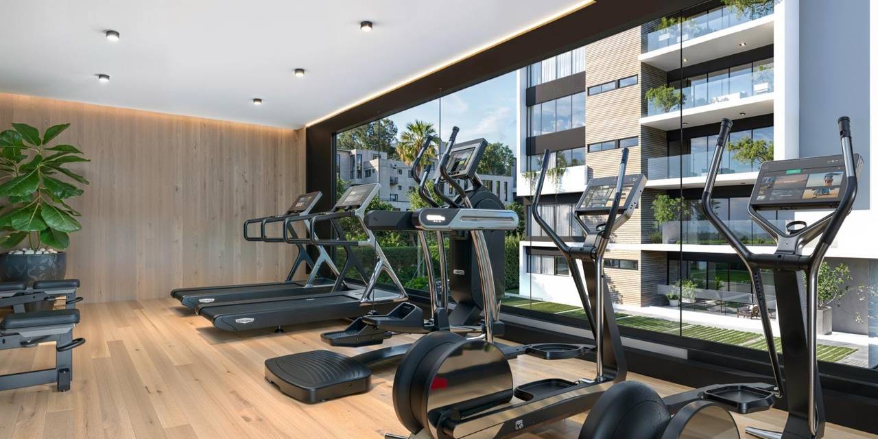Gimnasio