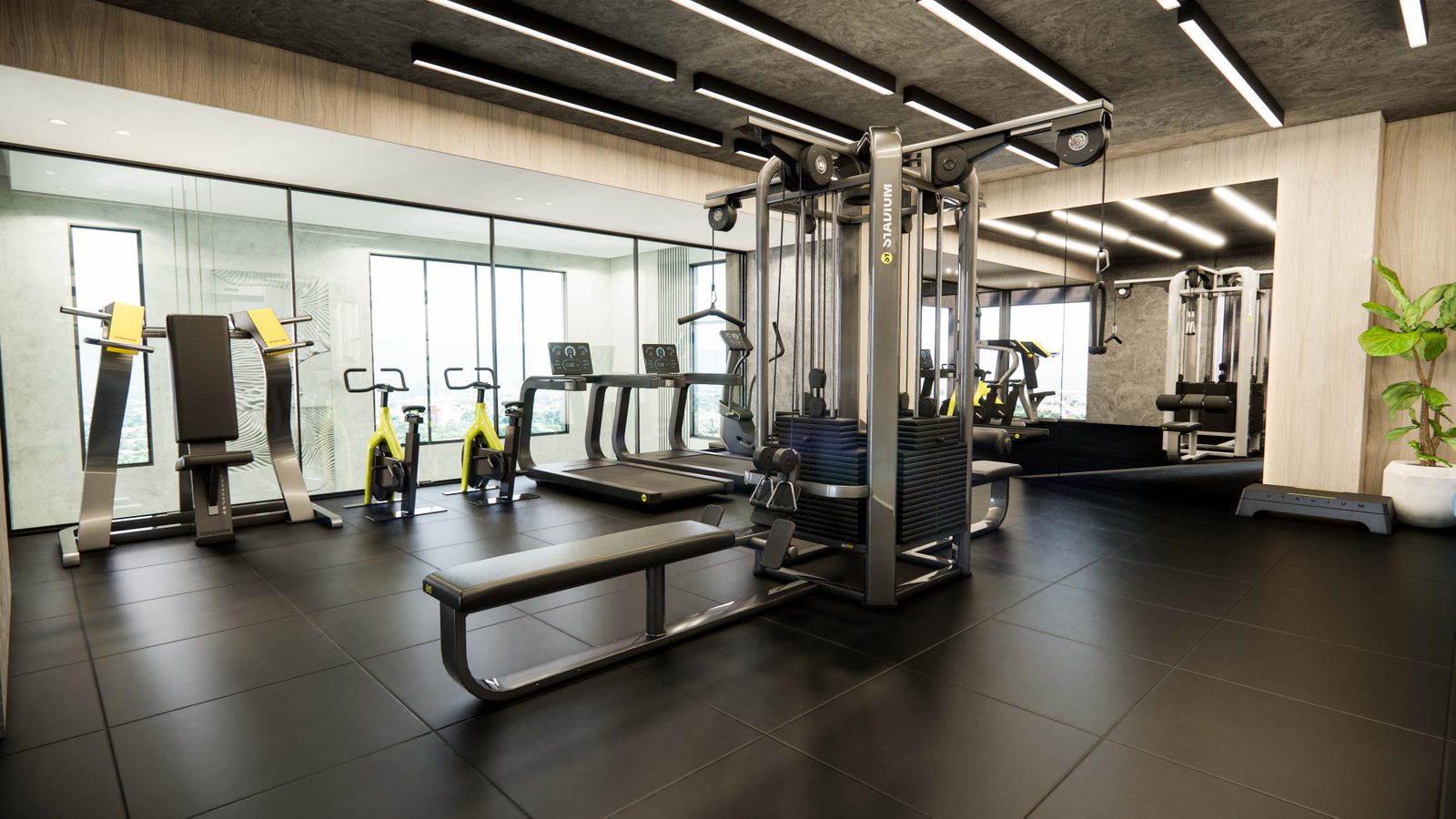 Gimnasio