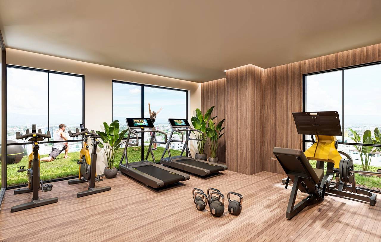 Gimnasio