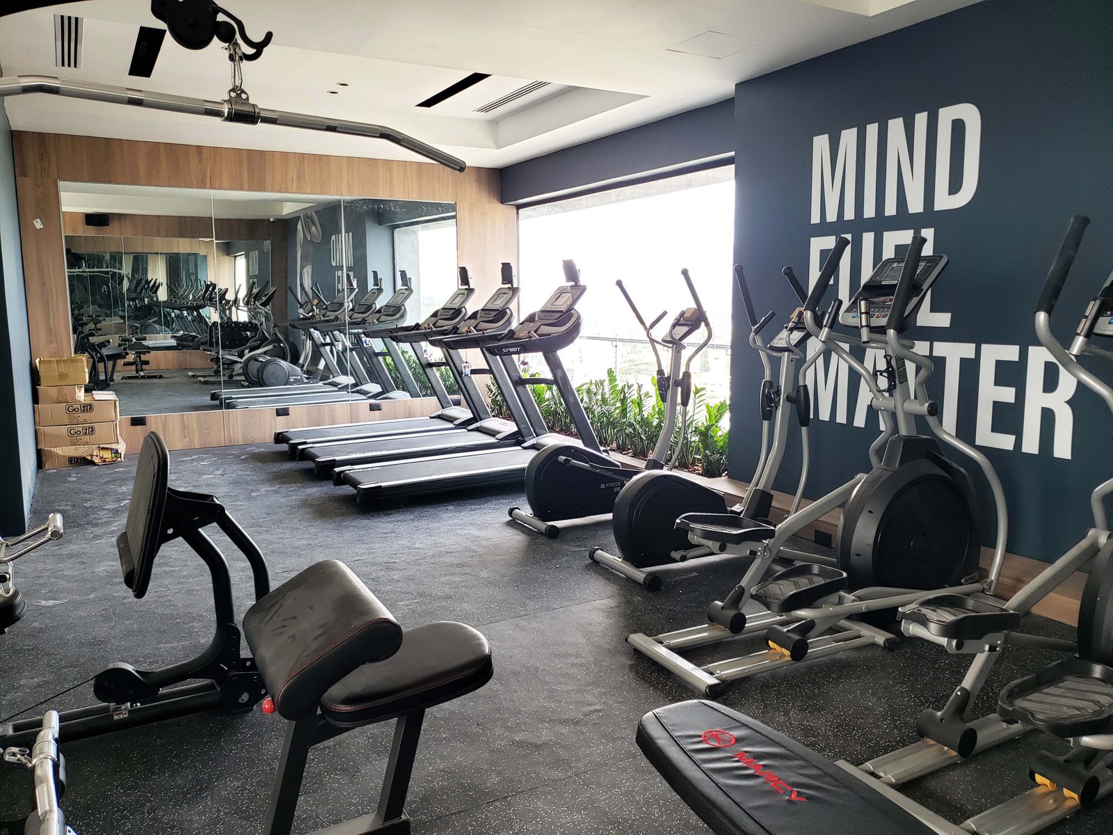 Gimnasio