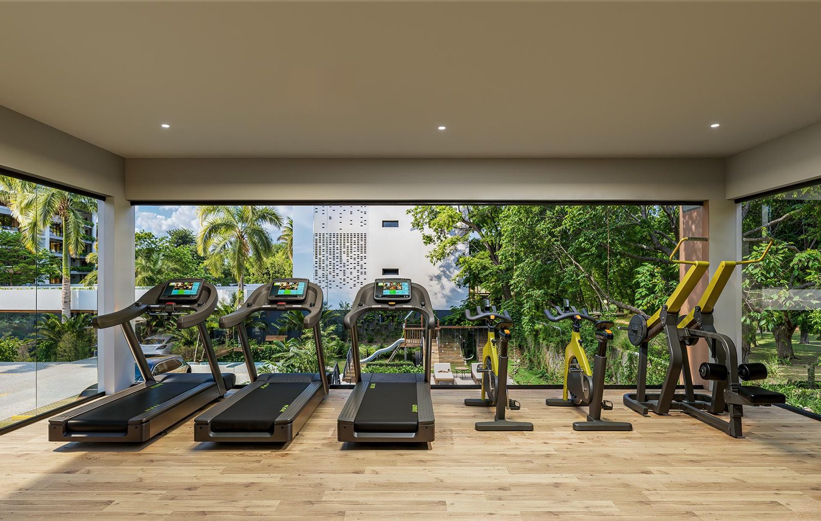 Gimnasio
