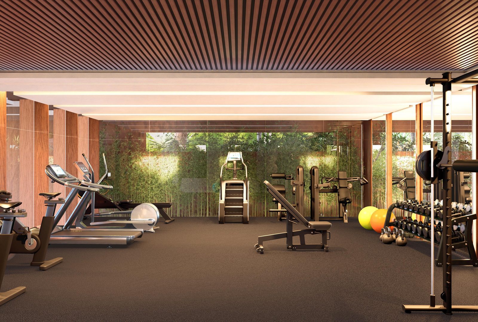 Gimnasio