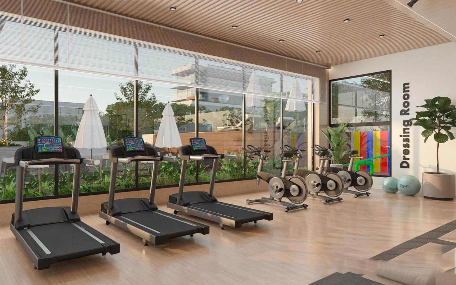 Gimnasio