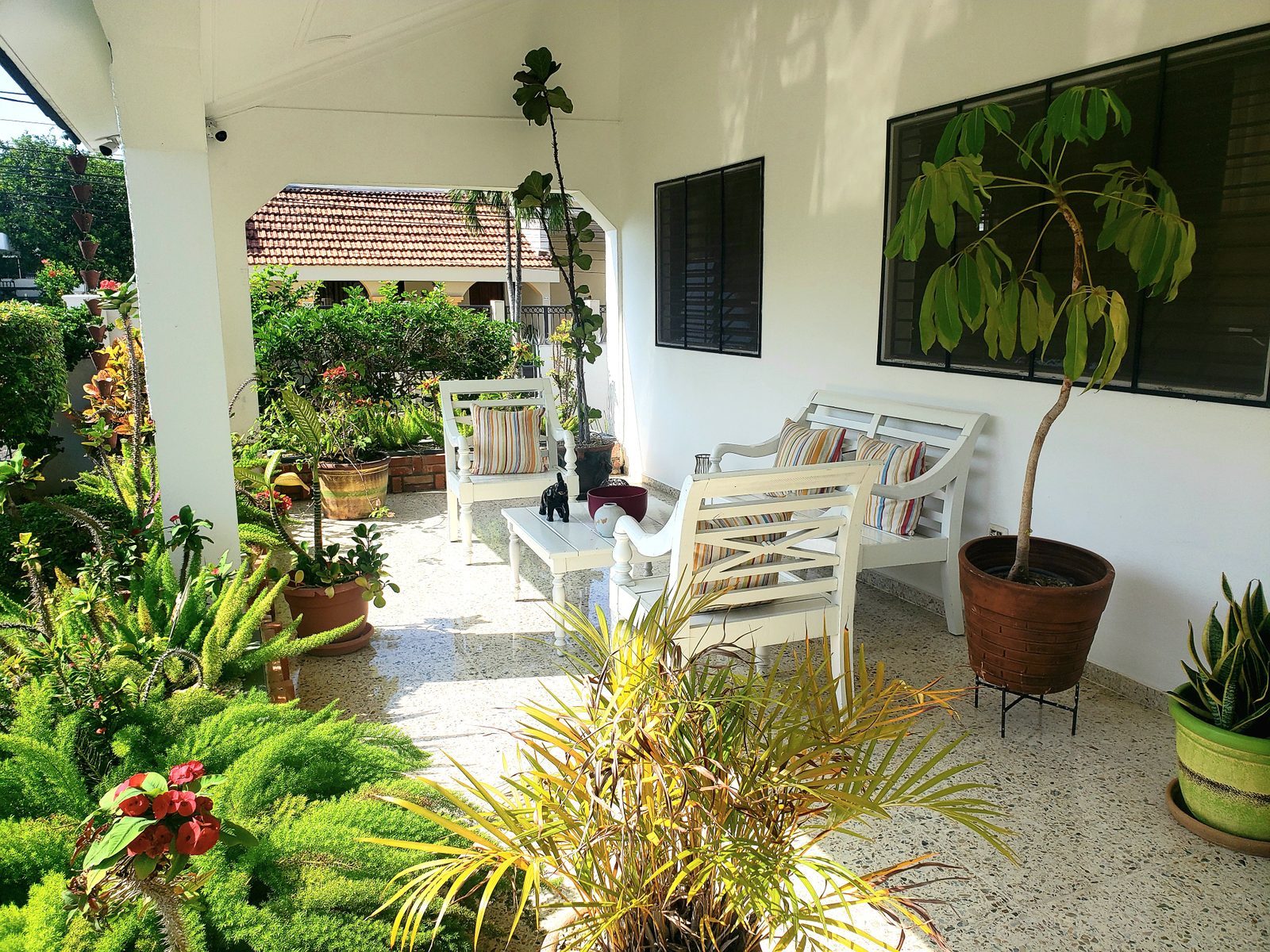 Terraza 1