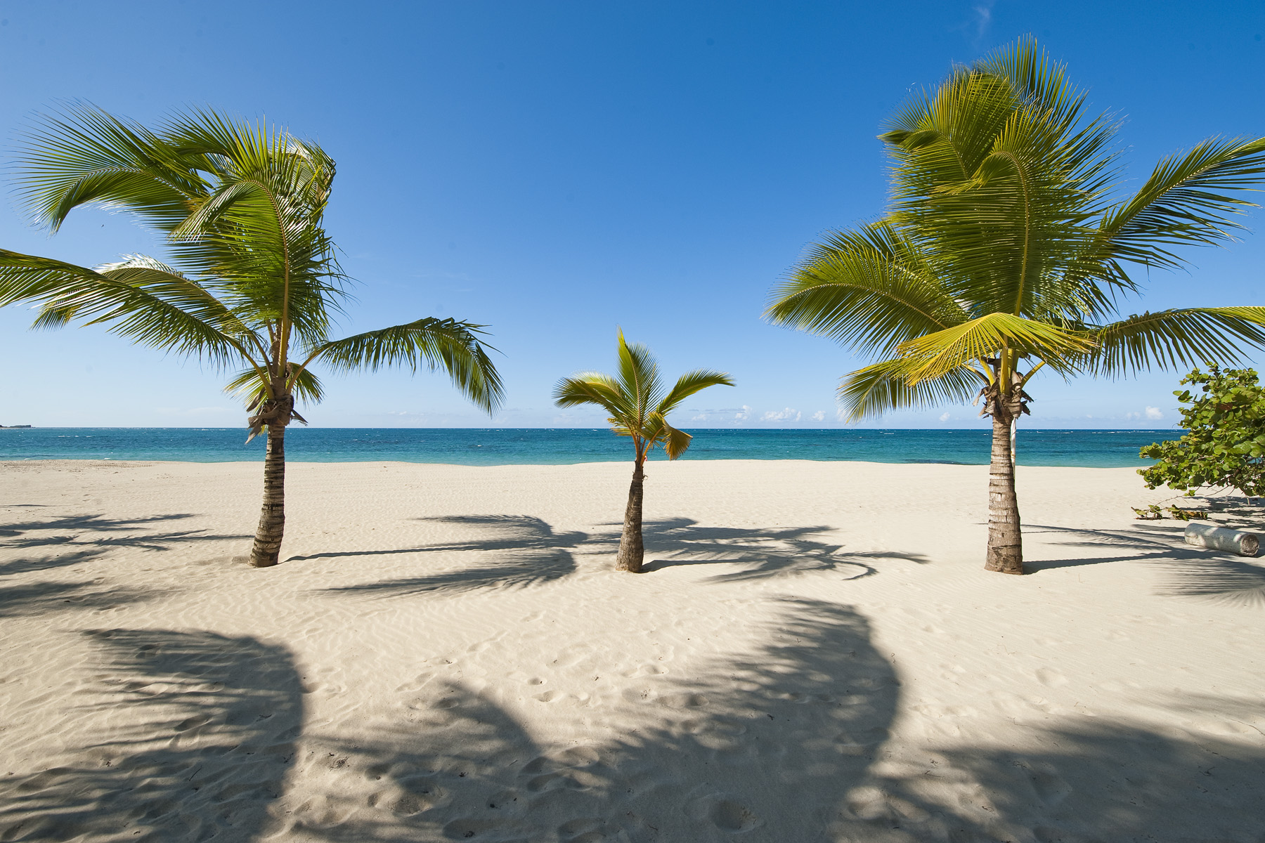 Razones Poderosas de por qué Invertir en Zona Turística en República Dominicana