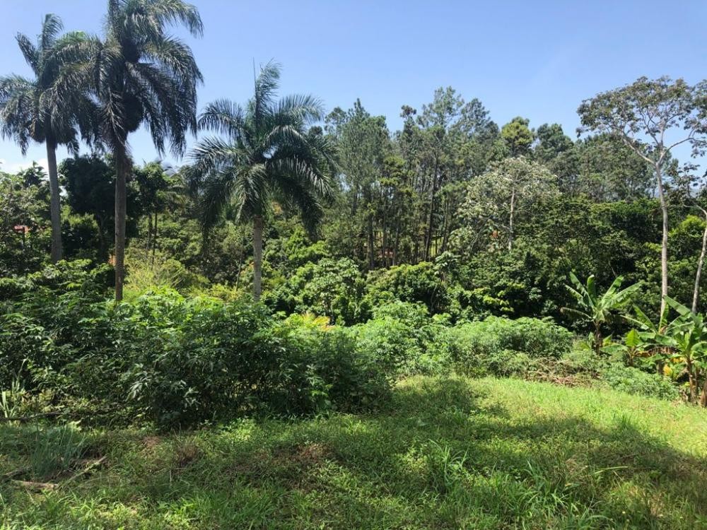 Se vende solar en  Jarabacoa