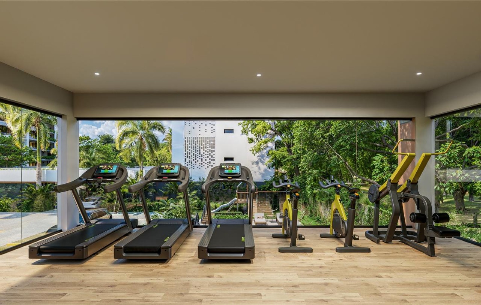 Gimnasio