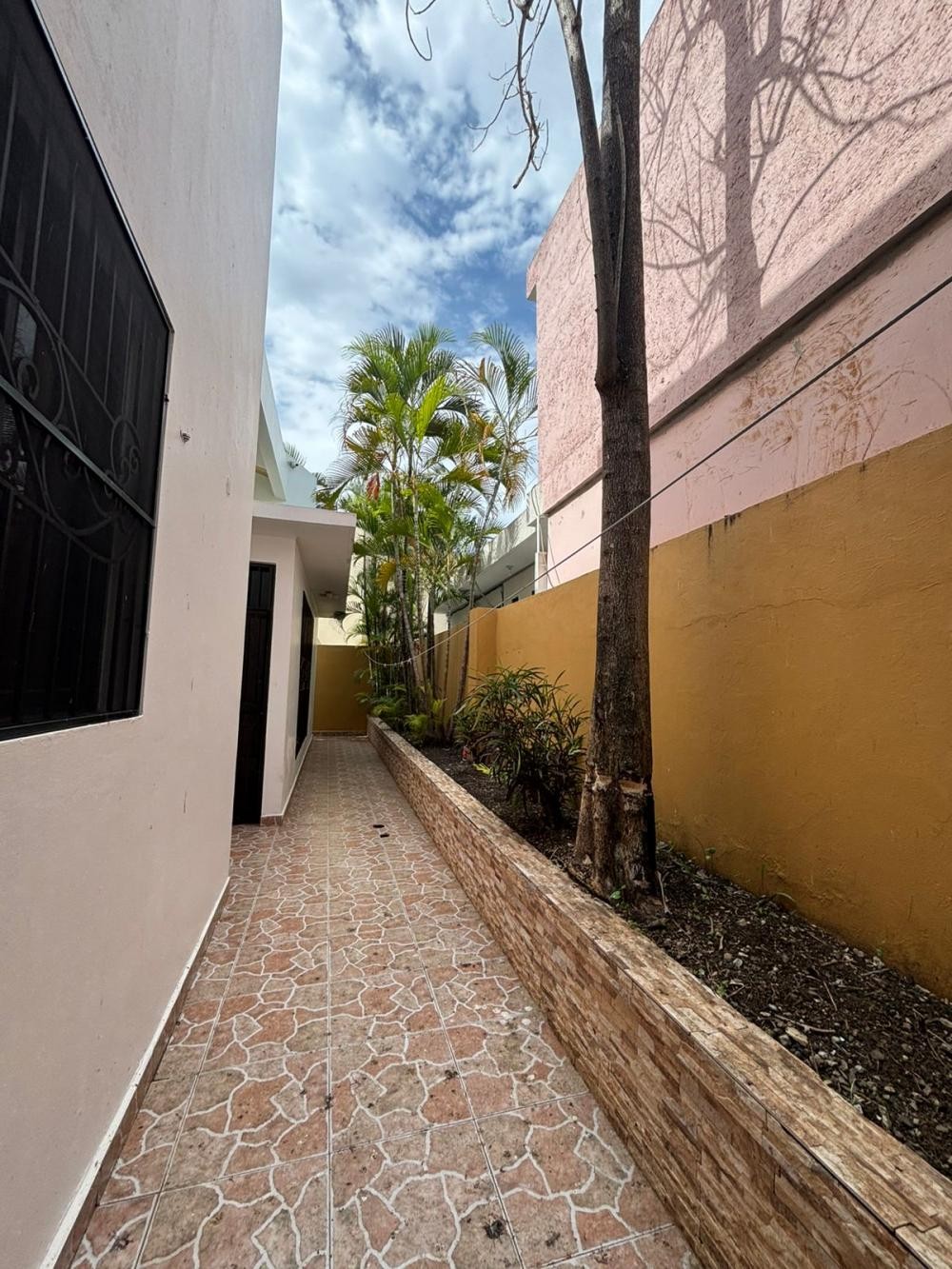 Jardín/Exterior